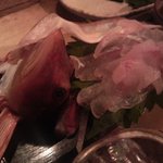 鮨げん家 - ホウボウ造り