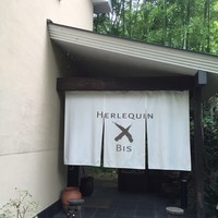 エルルカン・ビス - 