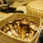 さえ喜 - 丹波の松茸
