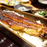 うなぎ 四代目 菊川 グローバルゲート店 - 一本重☆