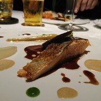 リョウリヤ ステファン パンテル - 