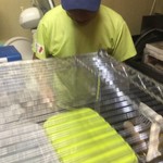 ピッザピッザピッザ - 