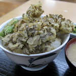 八ヶ岳パーキングエリア（上り線）スナックコーナー - 舞茸天丼(680円)　09.04.05.