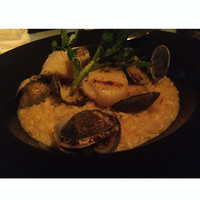 マーサーブランチ テラスハウス - 