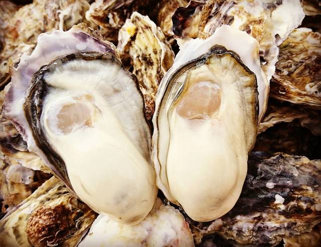３日以内に発送します ★ 焼き鳥台★海鮮魚介★牡蠣小屋★掃除よりも買い替え★LP 3日以内に発送します ☆ 焼き鳥台☆海鮮魚介☆牡蠣小屋☆掃除