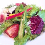Italiano tavola T-path - 若鶏のレモンマリネと地野菜のサラダ