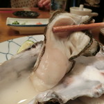 季節料理 なみき - 