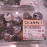 本庄鮮魚センター - 貝