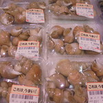 本庄鮮魚センター - 貝