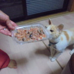 本庄鮮魚センター - 赤貝ヒモうまい！