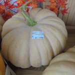 農産物直売所 こだま館 - カボチャ