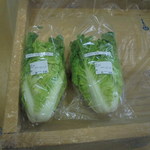 農産物直売所 こだま館 - 変わった白菜