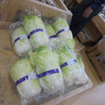 農産物直売所 こだま館 - 白菜