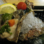 Kitahachi - 牡蠣