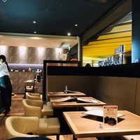ダルマット 六本木ヒルズ店 - 都会的でオシャレな雰囲気！