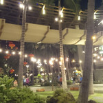 Island Vintage Shave Ice - 