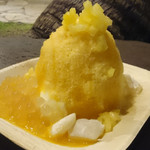 Island Vintage Shave Ice - 
