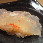 すゝき野 鮨金 - ぼたん海老