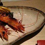 花こころ 隠 鳥魚 - 