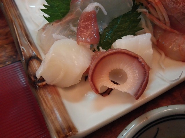 かちかち山 - 下北（居酒屋）の写真