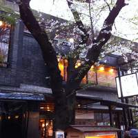 鰻割烹 伊豆栄 梅川亭 - 