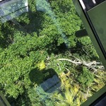 Kuranda Railway Tea Rooms - 足下が透けるダイヤモンドビュー・ゴンドラ