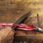 うなぎ処 古賀 - 