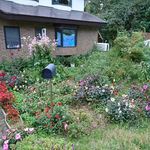 ホワイトペンション - ペンションの外観　2017.9