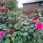 ホワイトペンション - ペンション前の風景　2017.9