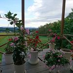 ホワイトペンション - ペンションからの風景　2017.9