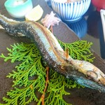 花ごころ 緑苑  - 秋刀魚