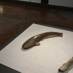 ぽん多本家 - コータローの鯰