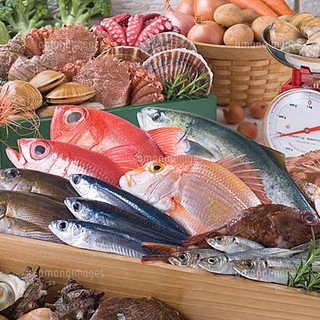 Directly shipped from fishing ports nationwide!! Fresh fish caught in the morning