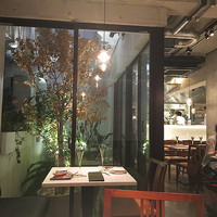 CINA New Modern Chinese - 