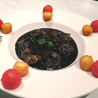 CINA New Modern Chinese - 