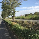 ハナ カフェ - お店の前の散歩道