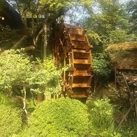 黒茶屋 - 入口の水車