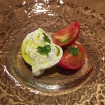 スガハラ - ブッラータチーズ + トマト（アップ）