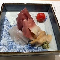 鮨 弁慶 海 - 刺しがうまい！