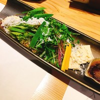 四季彩しをり - 