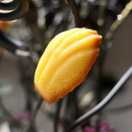 グランド ダイア - 