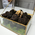 グランド ダイア - 