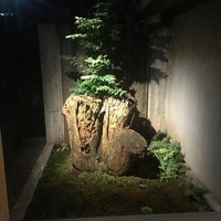 レフェルヴェソンス - 