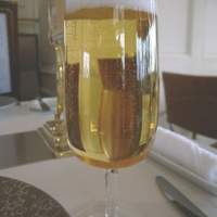 Benoit Alain Ducasse - 