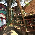 Kuranda Home Made Tropical Fruit Ice Cream - キュランダマーケット