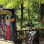 Kuranda Home Made Tropical Fruit Ice Cream - キュランダマーケットの顔出し