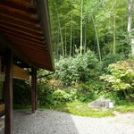 山茶林泉 - 