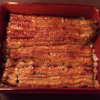 つきじ宮川本廛 - うな重 ハ