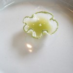 キュイジーヌ[s] ミッシェル・トロワグロ - タマネギとジュレ