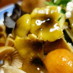 秋神温泉旅館 - 